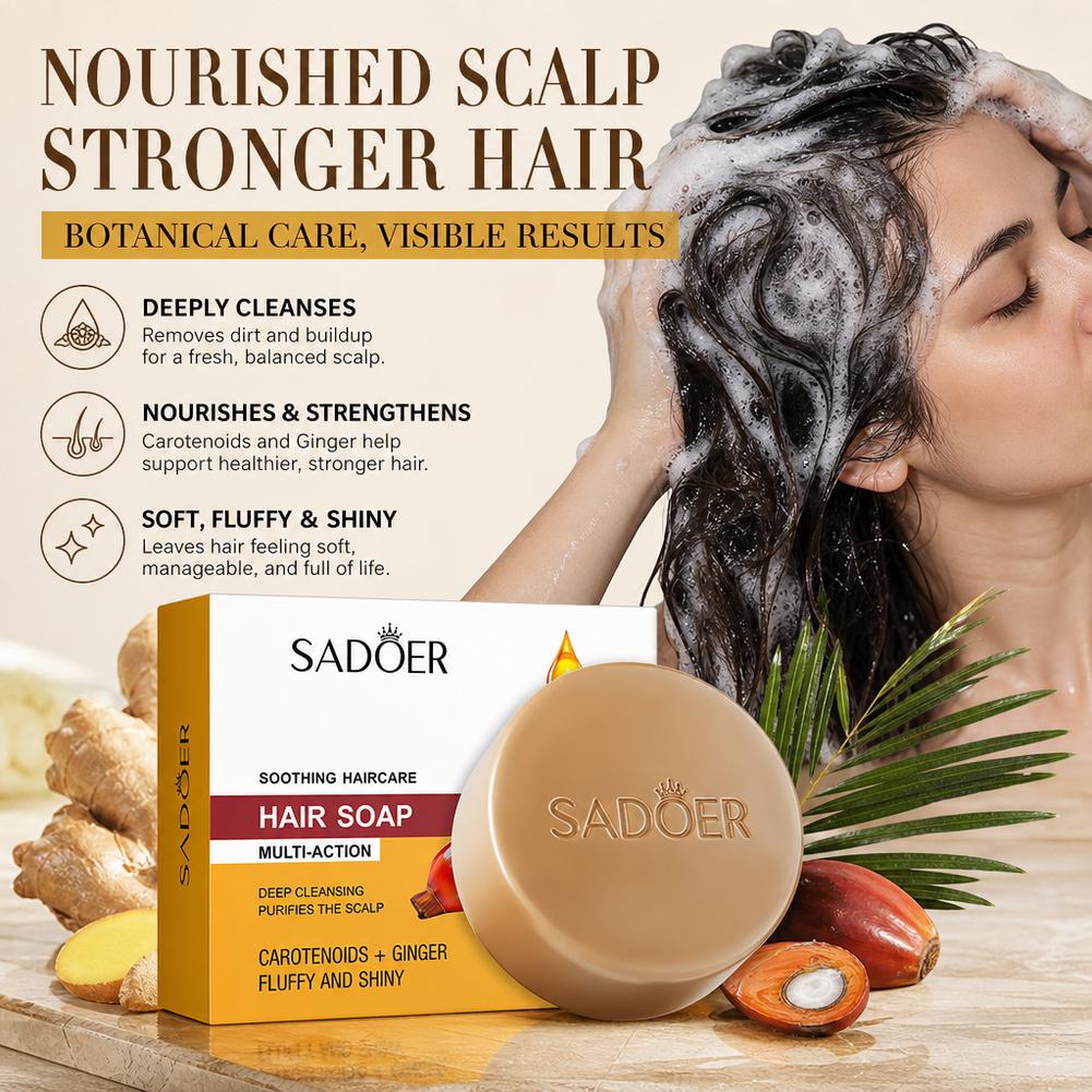 Ginger Shampoo Bar Natuurlijke - Bar Soap Shampoo Solid recensie en prijs
