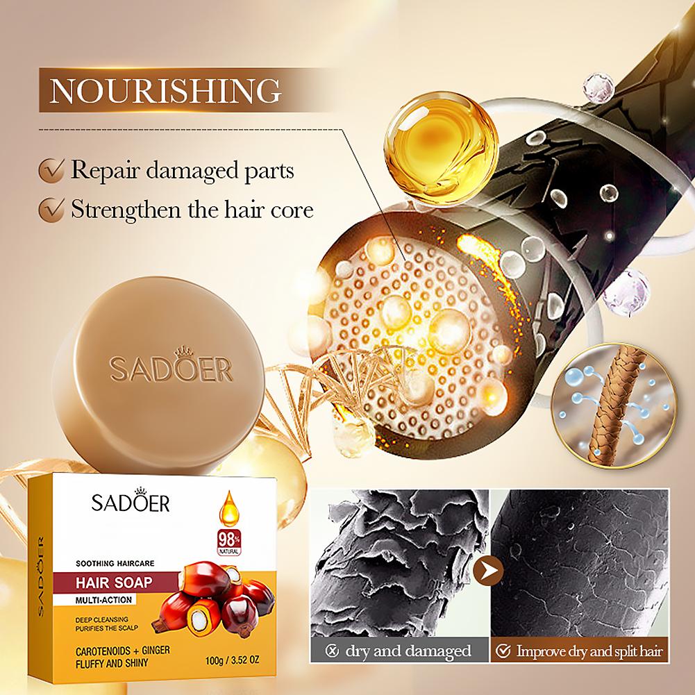 Ginger Shampoo Bar Natuurlijke - Bar Soap Shampoo Solid recensie en prijs